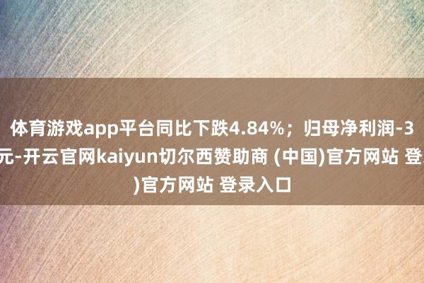 体育游戏app平台同比下跌4.84%；归母净利润-3.16亿元-开云官网kaiyun切尔西赞助商 (中国)官方网站 登录入口
