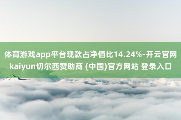 体育游戏app平台现款占净值比14.24%-开云官网kaiyun切尔西赞助商 (中国)官方网站 登录入口