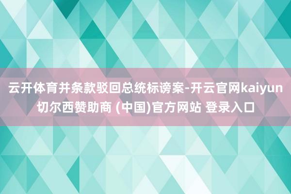 云开体育并条款驳回总统标谤案-开云官网kaiyun切尔西赞助商 (中国)官方网站 登录入口