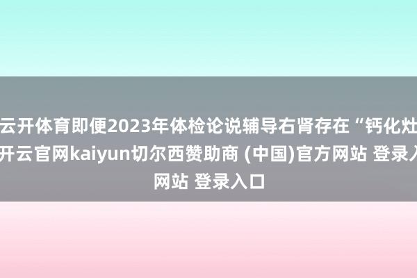 云开体育即便2023年体检论说辅导右肾存在“钙化灶”-开云官网kaiyun切尔西赞助商 (中国)官方网站 登录入口