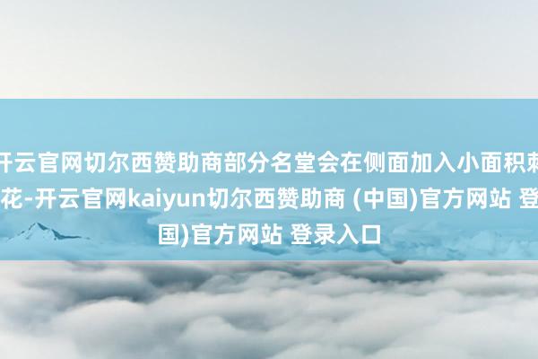 开云官网切尔西赞助商部分名堂会在侧面加入小面积刺绣或印花-开云官网kaiyun切尔西赞助商 (中国)官方网站 登录入口