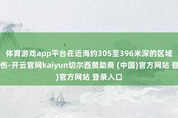 体育游戏app平台在近海约305至396米深的区域进行探伤-开云官网kaiyun切尔西赞助商 (中国)官方网站 登录入口